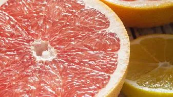 春季不可错过的十大黄金野菜插图1