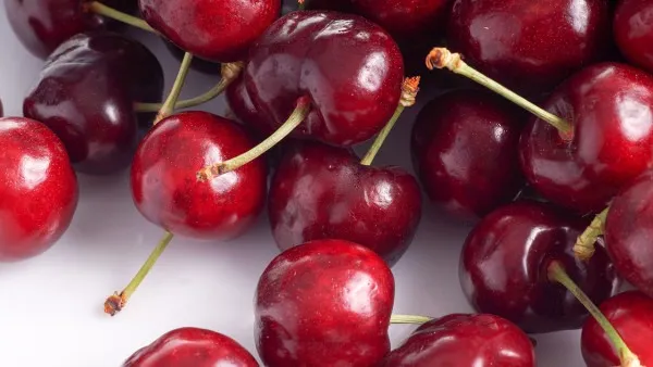 补血养气的食物推荐 补血养气吃什么插图