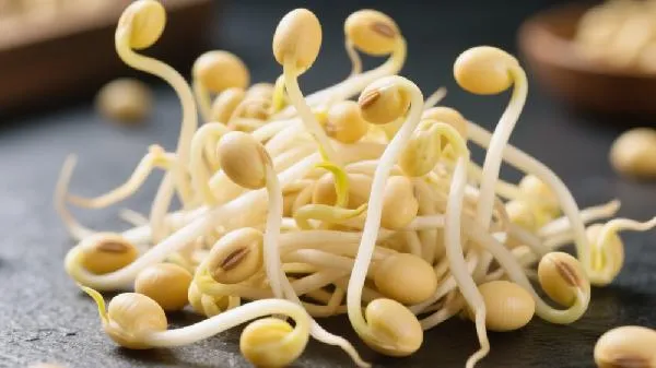 黄豆芽能冷冻保存吗插图1