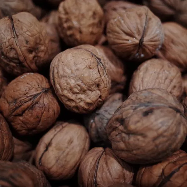 核桃外面的青皮有什么药用价值插图1