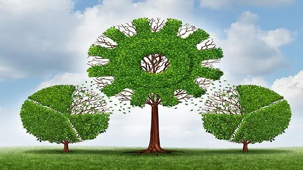 覆盆子也称树莓 经期女性能吃吗插图