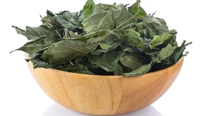 绞股蓝总苷胶囊的功效与作用插图