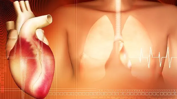 鱼的内脏不能吃吗插图1