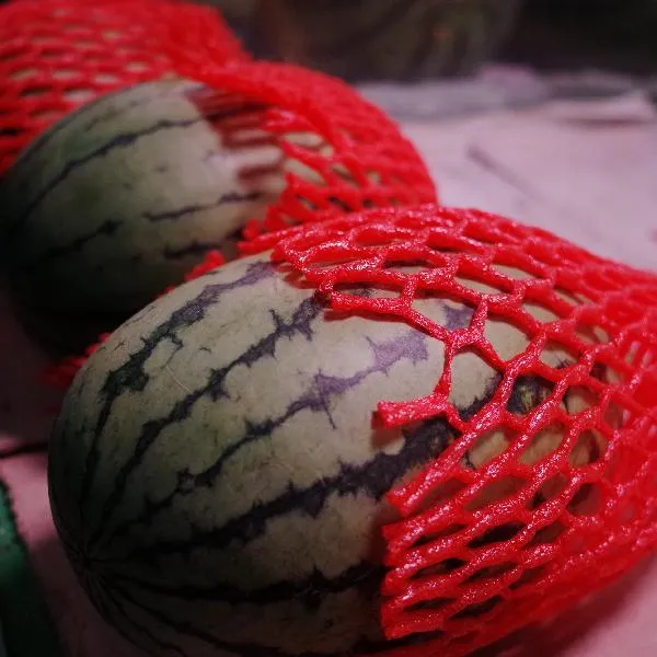 西瓜能当早餐吃吗插图1