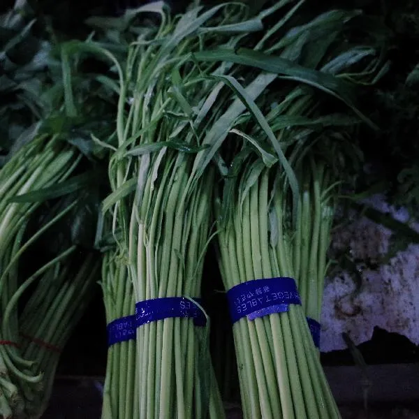 芥兰菜开花的三个征兆插图