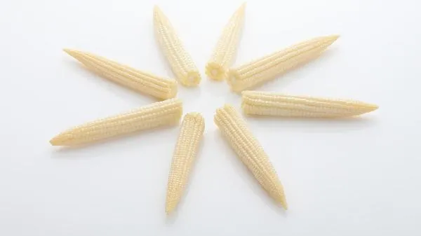 什么是全谷物食物插图1