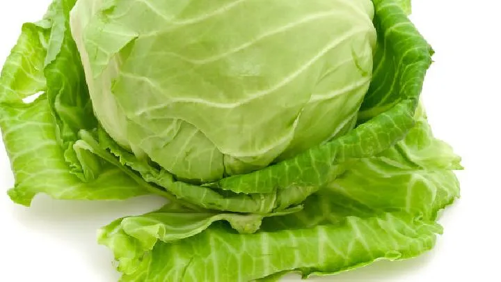 夏日养生吃什么好？推荐多吃这些豆类插图