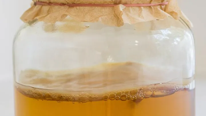 老人养生方法有哪些？独家分享4个养生秘诀插图