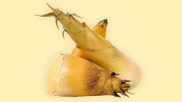 笋跟什么一起炒好吃插图2