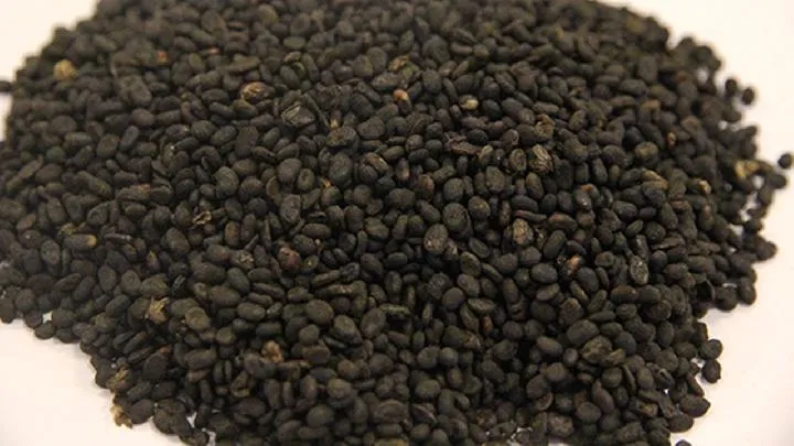 补骨脂的功效与主治插图1