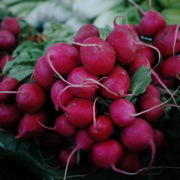 蒸萝卜蒸饺多长时间插图1