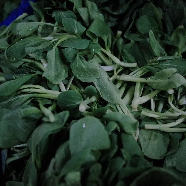 饭菜忘记放冰箱一晚会坏吗插图1