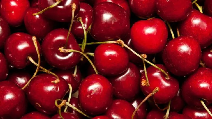 日常应该如何养生？养生误区有哪些？插图