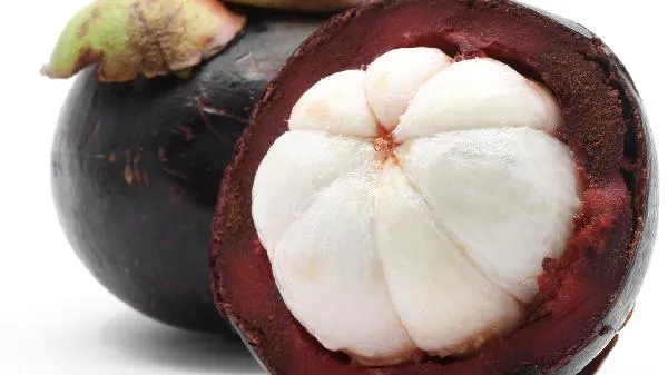 吃山竹上火还是降火插图2