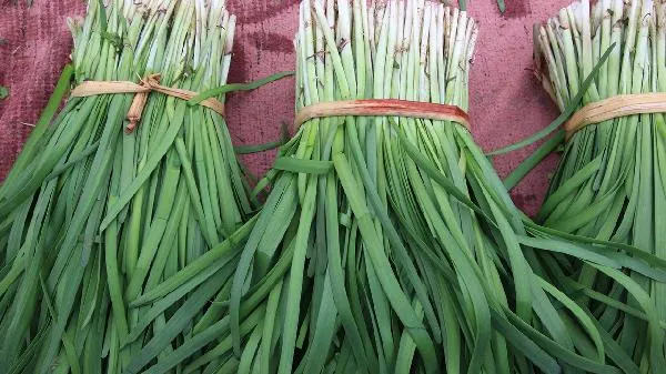 韭菜的保存方法有哪些插图