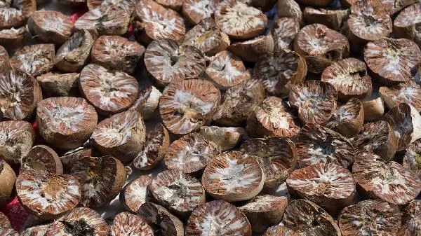 要补铁就常吃这些水果插图