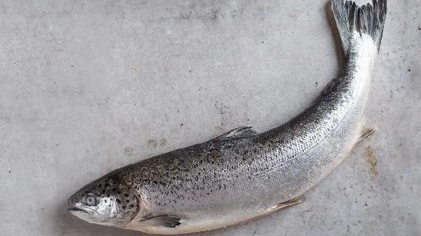 黄希鲮鱼刺身口感插图