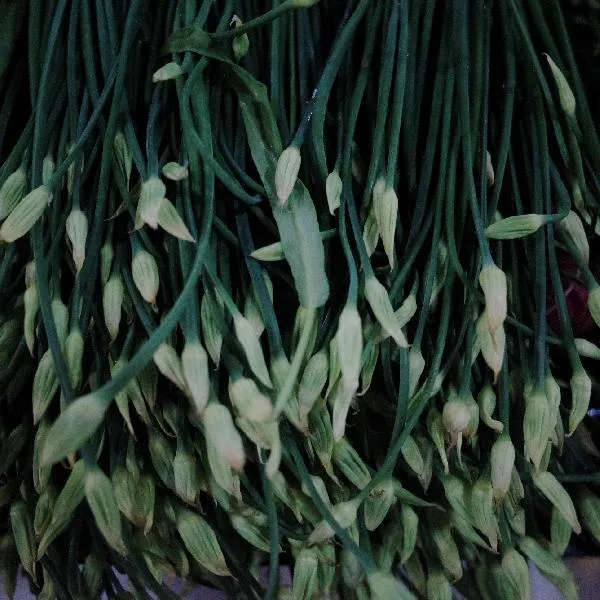 蕹菜怎么做才好吃插图2