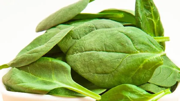 降肌酐的五种蔬菜插图