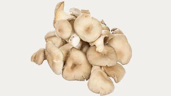 野生蘑菇最简单三个做法插图2