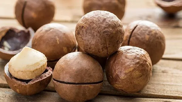 什么病不能吃夏威夷果插图