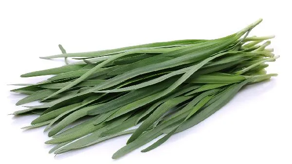 韭菜和小葱的哪个壮阳插图1