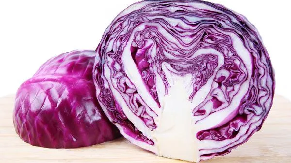 湿热不可以吃什么食物插图1