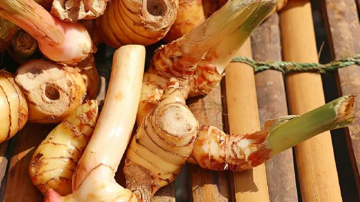 菊花泡水喝能美容养生？盘点这5大神奇功效让你从此爱上它！插图1