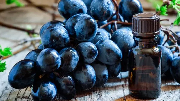 一起看看葡萄怎么保存比较好插图1