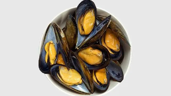 贻贝和海虹有什么区别插图1