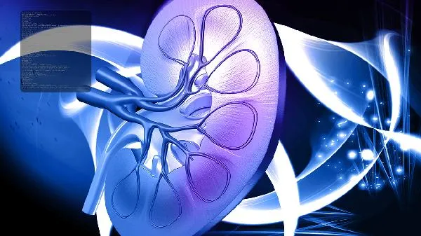 肾宝片十六岁可以吃吗插图1