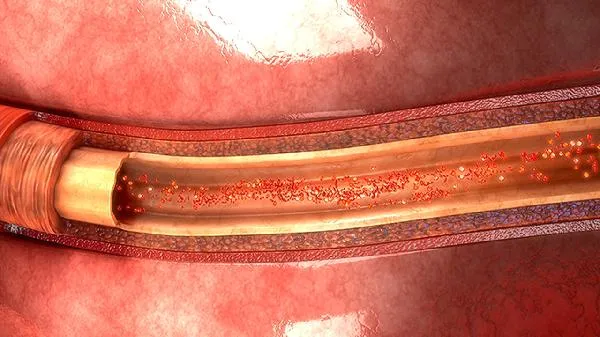 遇到疯牛怎么自救插图