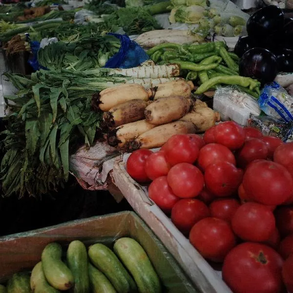 酸菜炖血肠怎么做好吃插图