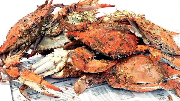 螃蟹怎么做不掉爪子插图