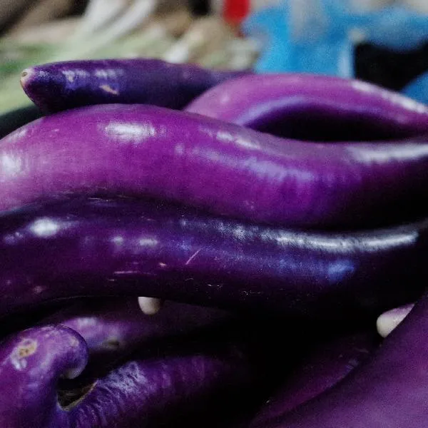 茄子不黑的小窍门加白糖可以吗插图