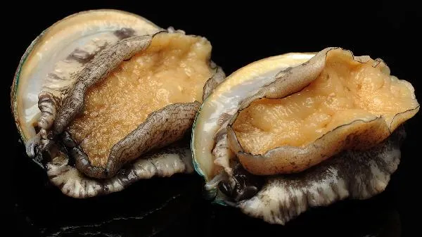 鲍鱼的内脏可以吃吗插图1