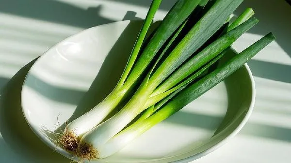 小葱是补气还是泄气插图