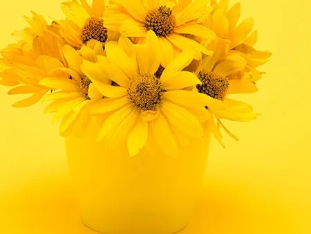 秋冬养生小常识，这里面群都概括了，你都做了哪些插图