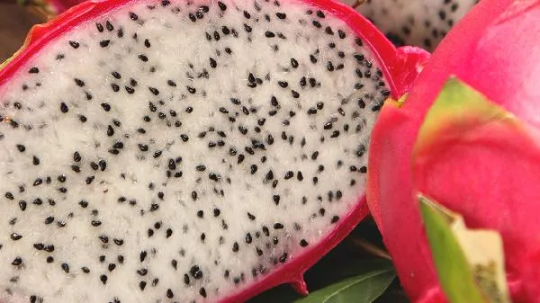 请问火龙果皮用什么方法去美容插图