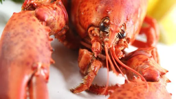 麦片是酸性还是碱性食物插图