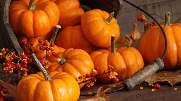 饮食指南食物相克赶紧收藏插图1