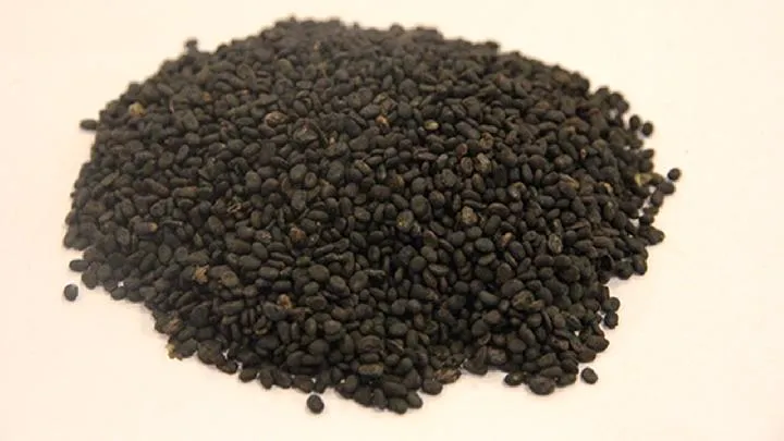 补骨脂的功效与主治插图