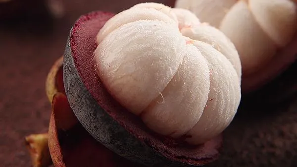 吃山竹上火还是降火插图1