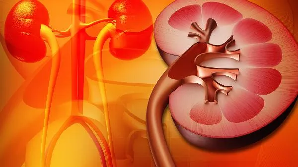 肾宝片十六岁可以吃吗插图2