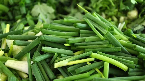 韭菜和小葱的哪个壮阳插图2