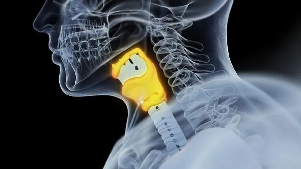 喉咙干燥有痰可以吃梨吗 吃梨拉肚子是怎么回事插图1