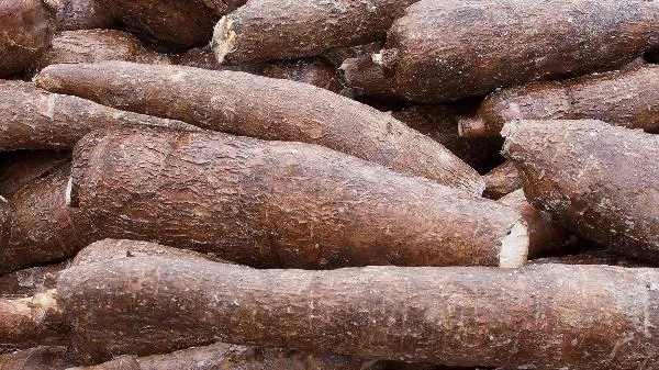 木薯粉条和红薯粉条怎样区分插图1