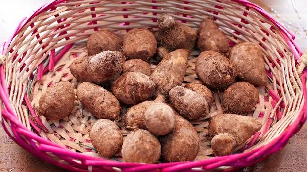 魔芋豆腐的气味是什么味道插图2