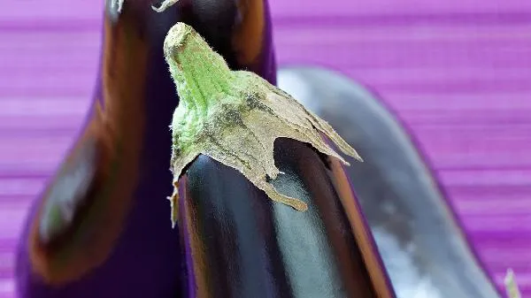 茄子芯发黑色是坏了吗插图2