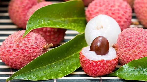 荔枝干怎么保存时间长插图1